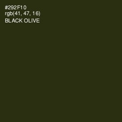 #292F10 - Black Olive Color Image